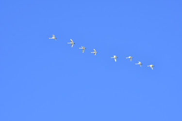 Similar image 22648382