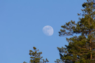 Similar image 22718125