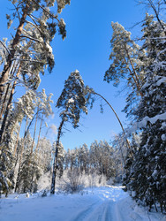Similar image 22718107