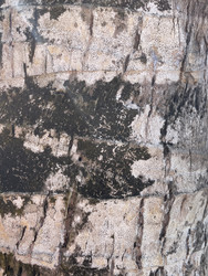 Similar image 22712175
