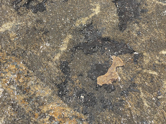 Similar image 22712182