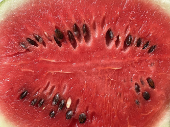Similar image 22712193