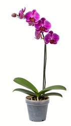 Similar image 22698599