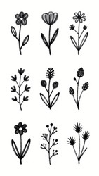 Similar image 22703185