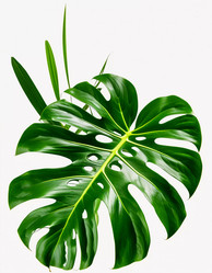 Similar image 22684041