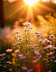 Similar image 22717444
