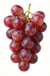 Similar image 22676693