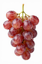 Similar image 22697024