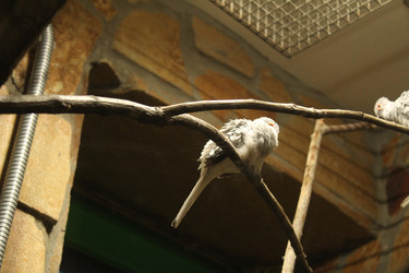 Similar image 22752456