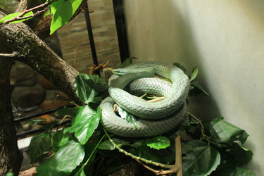 Similar image 22752545