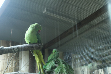Similar image 22752555