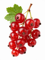 Similar image 22706500