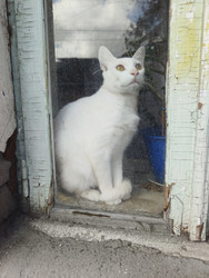 Similar image 22648017