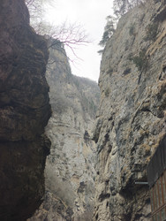 Similar image 22648018