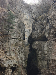 Similar image 22648095