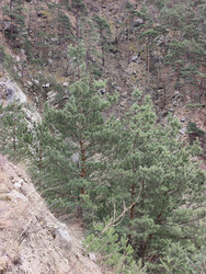 Similar image 22648111