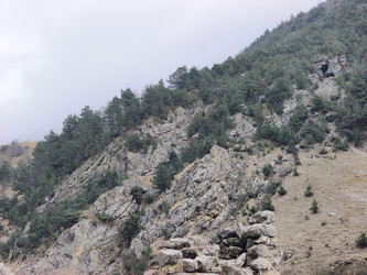 Similar image 22648230