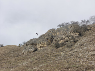 Similar image 22648261