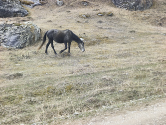 Similar image 22648425