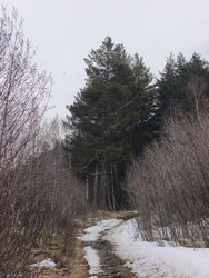 Similar image 22647961