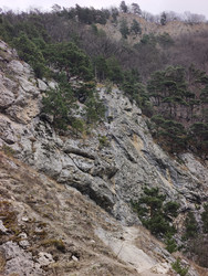 Similar image 22648453