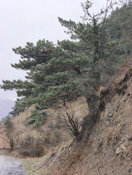 Similar image 22648546