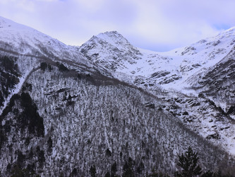 Similar image 22648307