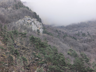 Similar image 22648364