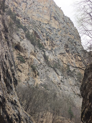 Similar image 22648442