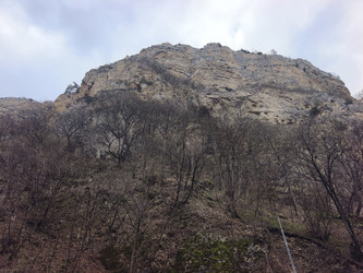Similar image 22648454