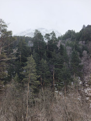 Similar image 22648501