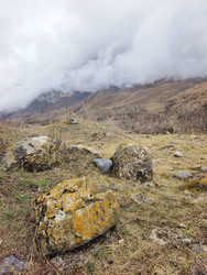 Similar image 22647455