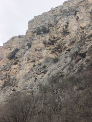 Similar image 22648068