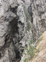 Similar image 22648264