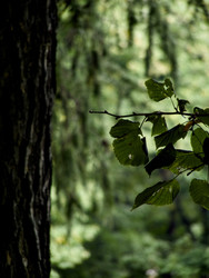 Similar image 22679334