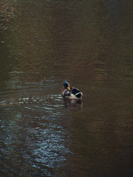 Similar image 22684297