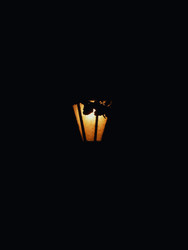 Similar image 22692709