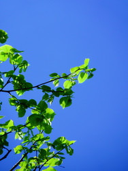 Similar image 22679304