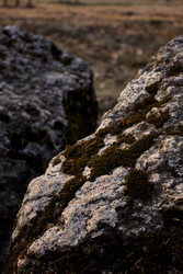 Similar image 22679318