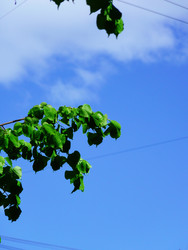 Similar image 22670927