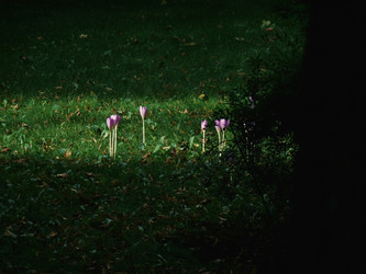 Similar image 22679322