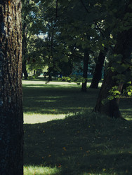 Similar image 22684300