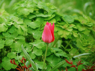 Similar image 22653845