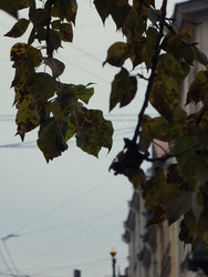 Similar image 22679331