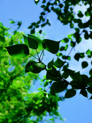 Similar image 22662460