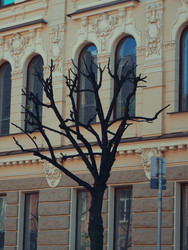 Similar image 22653848