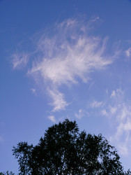 Similar image 22653851
