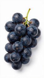 Similar image 22686491