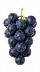 Similar image 22703770