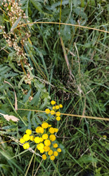 Similar image 22664399